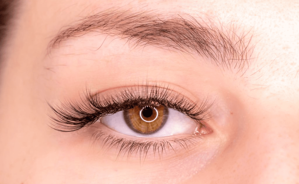 Eyelash extension