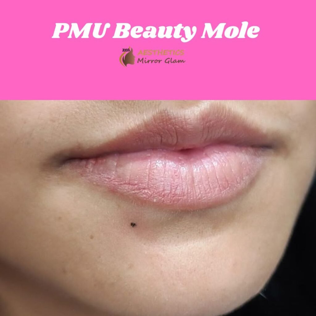 PMU beauty mole creation in Rohini, Delhi - close-up pigmentation detail